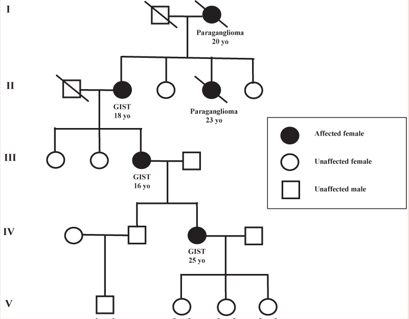 Heredo-Familial and Pediatric GISTs: Spot the Differences